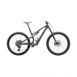 2025 Specialized Stumpjumper 15 expert Mountain Bike