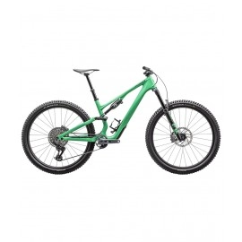 2025 Specialized Stumpjumper 15 expert Mountain Bike