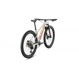 2027 BMC Twostroke 01 ONE Mountain Bike