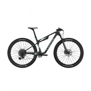 2023 Canyon Lux World Cup CFR LTD Mountain Bike