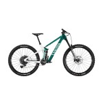 2023 Canyon Strive CFR TLD Mountain Bike