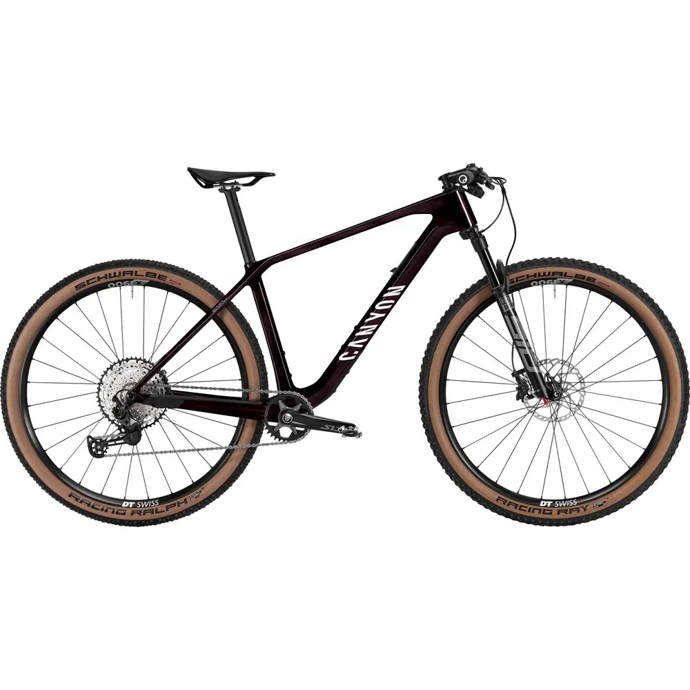 2025 Canyon Exceed CF 6 Mountain Bike