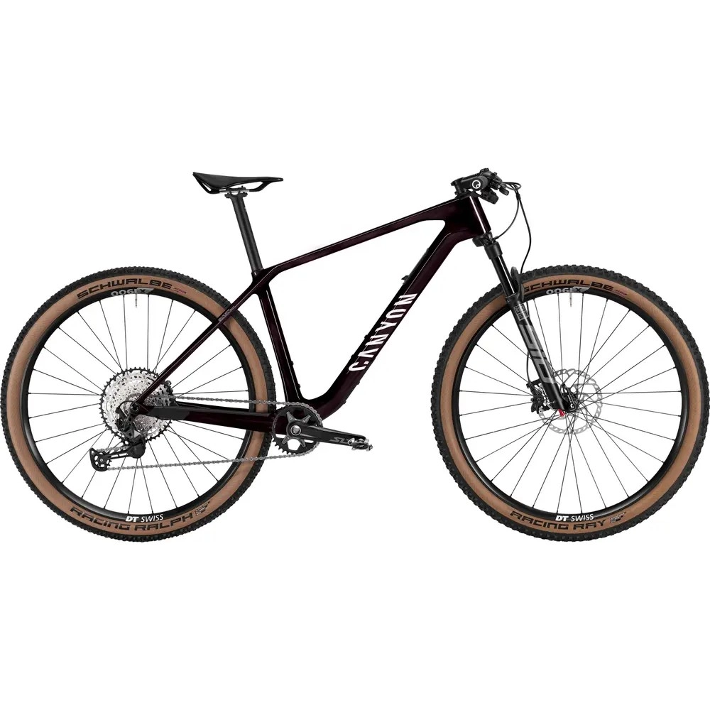 2025 Canyon Exceed CF 6 Mountain Bike