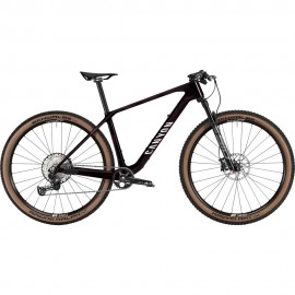 2025 Canyon Exceed CF 6 Mountain Bike