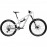 2025 Canyon Torque 6 Mountain Bike