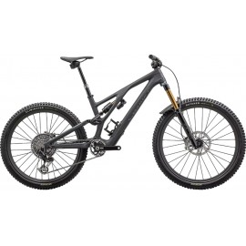2024 Specialized S-Works Stumpjumper EVO T-Type Mountain Bike