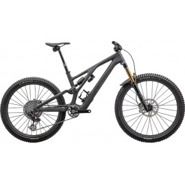 2024 Specialized S-Works Stumpjumper EVO T-Type Mountain Bike