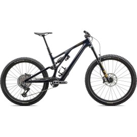 2024 Specialized Stumpjumper EVO Expert T-Type Mountain Bike