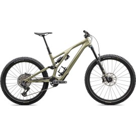 2024 Specialized Stumpjumper EVO Expert T-Type Mountain Bike