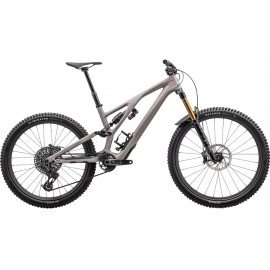 2024 Specialized Stumpjumper EVO Pro T-Type Mountain Bike