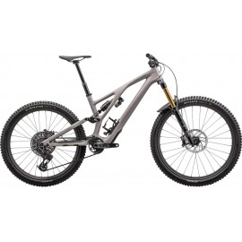 2024 Specialized Stumpjumper EVO Pro T-Type Mountain Bike