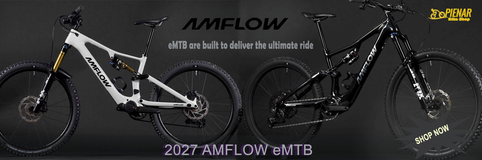 AMFLOW ELECTRIC MOUNTAIN BIKE